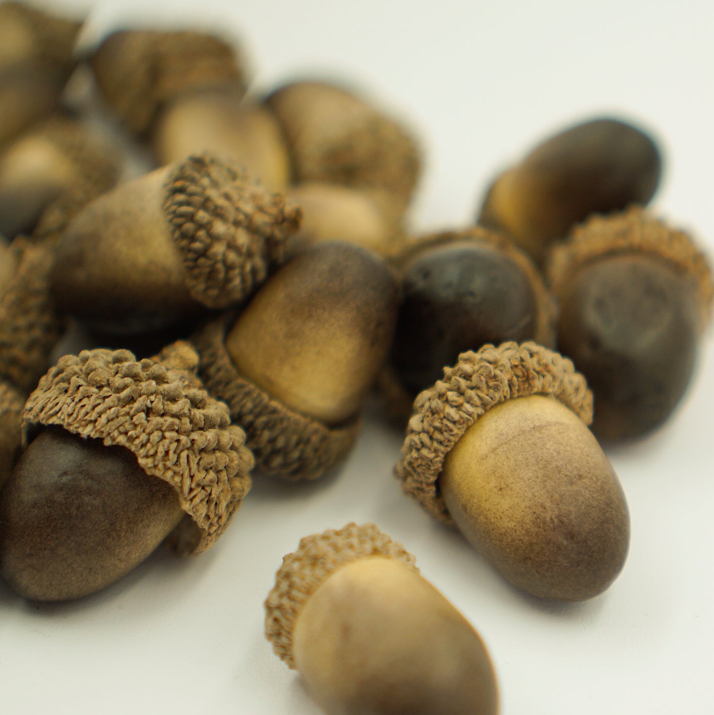 Bellotas artificiales