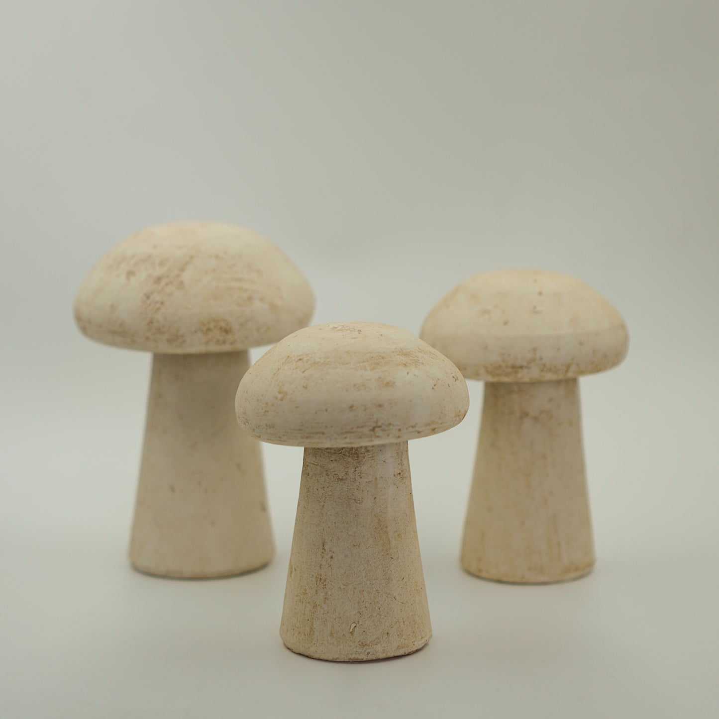 Hongos Barro Òxido (Set de 3)