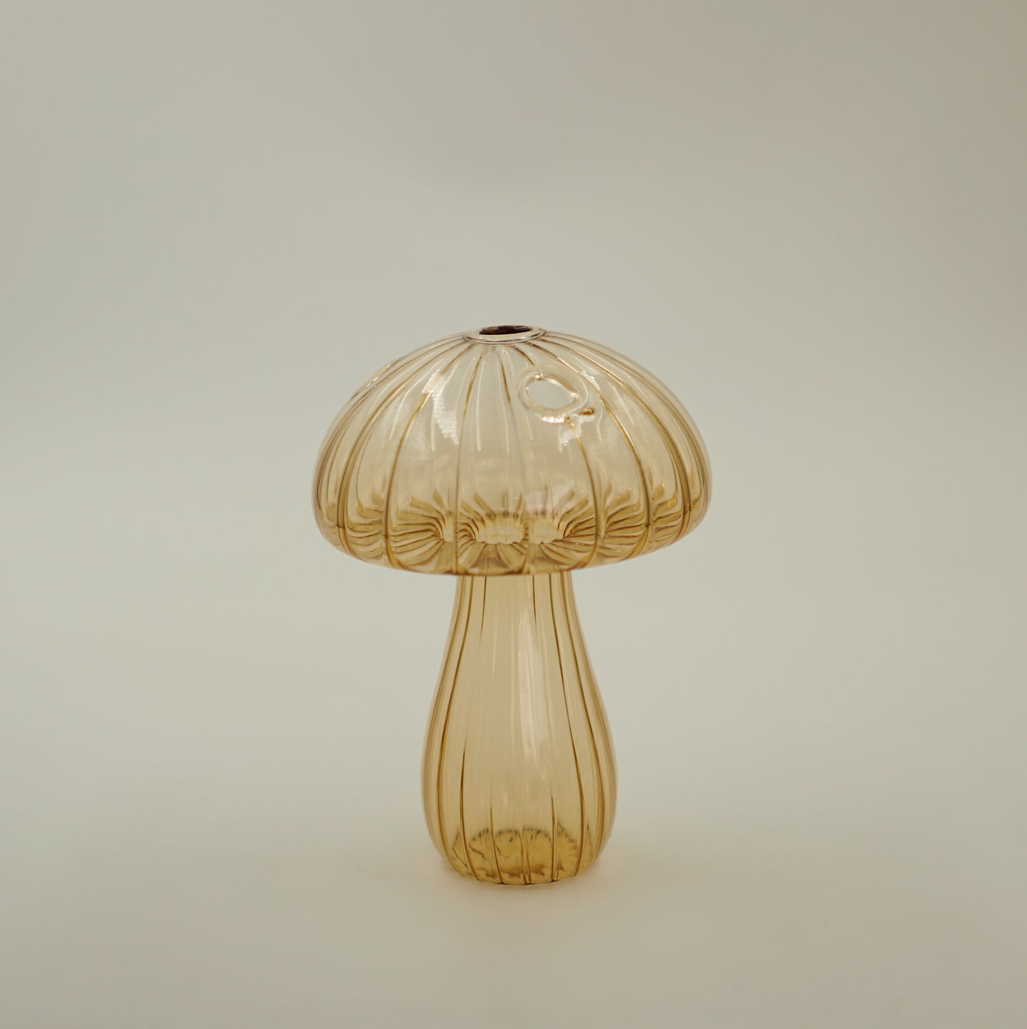 Hongos Cristal (Set de 3)